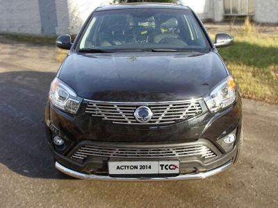 Накладка решётки радиатора нижняя 12 мм ТСС для SsangYong Actyon 2013-2021
