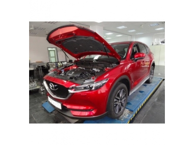 Упоры-амортизаторы капота 2 штуки для Mazda CX-5 KU-MZ-CX05-02